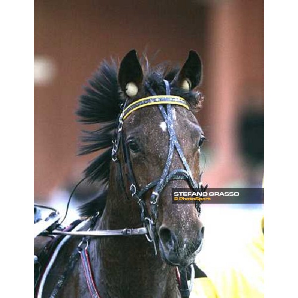 a close up for Gloria Gaynor winner of Premio Dante Firenze, 5th march 2006 ph. Stefano Grasso