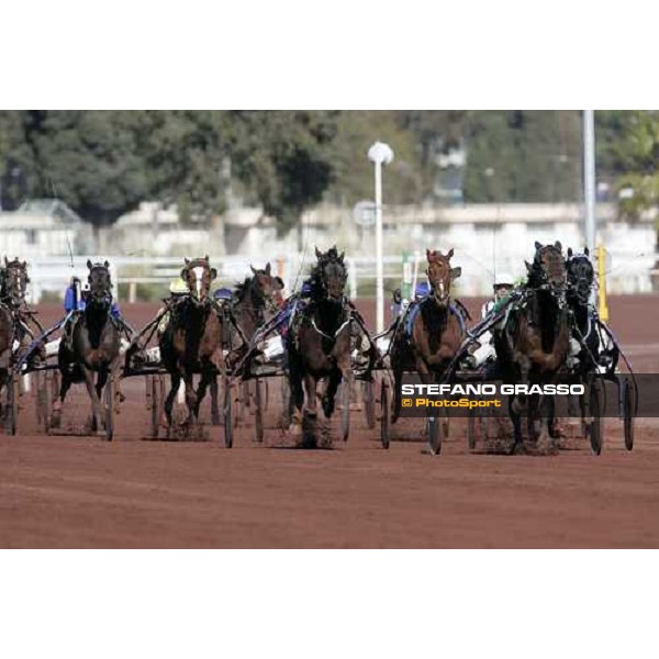 the straight of Criterium de Vitesse - Jean Michel Bazire with Kazire de Guez leads. At right Pippo Gubellini with Lets Go and,1st from left, Enrico Bellei with Ech˜ dei Veltri Cagnes sur Mer, 12th march 2006 ph. Stefano Grasso