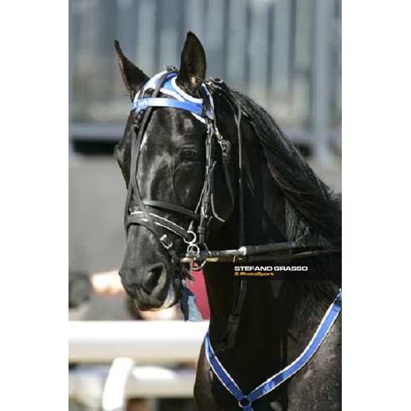 Criterium de Vitesse - close up for Lets Go before the start Cagnes sur Mer, 12th march 2006 ph. Stefano Grasso