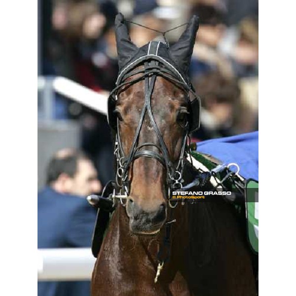 Criterium de Vitesse - close up for Kazire de Guez before the start Cagnes sur Mer, 12th march 2006 ph. Stefano Grasso