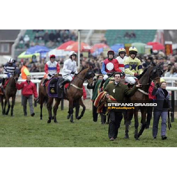 parade of the Ladbrokes World Hurdle Race Cheltenham, 16th march 2006 ph. Stefano Grasso