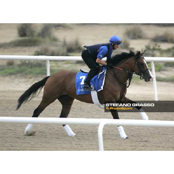 Electrocutionist exercises at Al Quoz morning works Al Quoz - Dubai 22nd march 2006 ph. Stefano Grasso