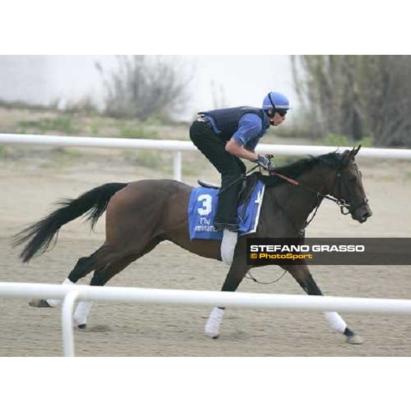 Extreme Measures exercises at Al Quoz morning works Al Quoz - Dubai 22nd march 2006 ph. Stefano Grasso