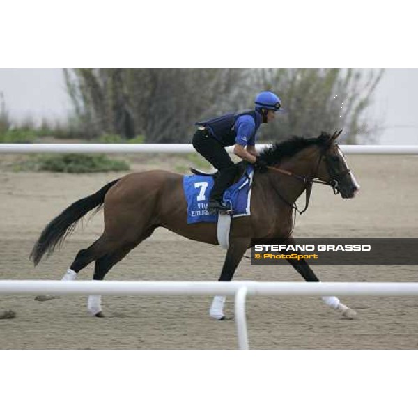 Electrocutionist exercises at Al Quoz morning works Al Quoz - Dubai 22nd march 2006 ph. Stefano Grasso