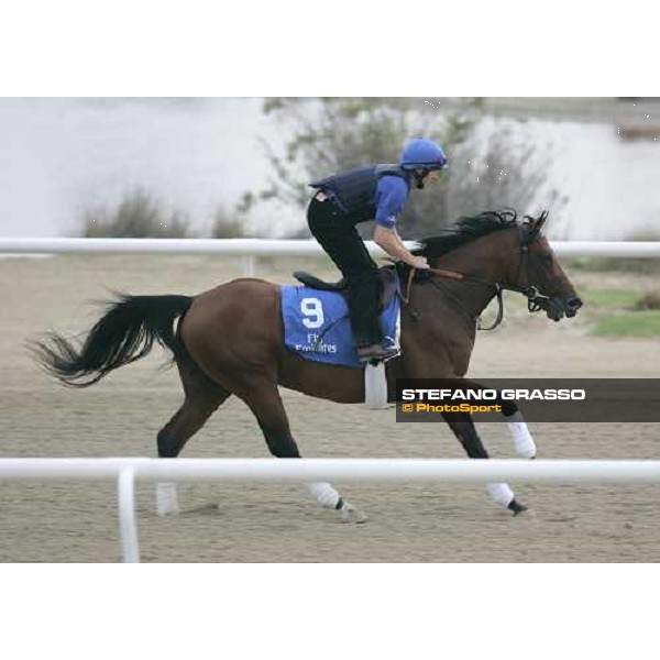 Ashaawes exercises at Al Quoz morning works Al Quoz - Dubai 22nd march 2006 ph. Stefano Grasso