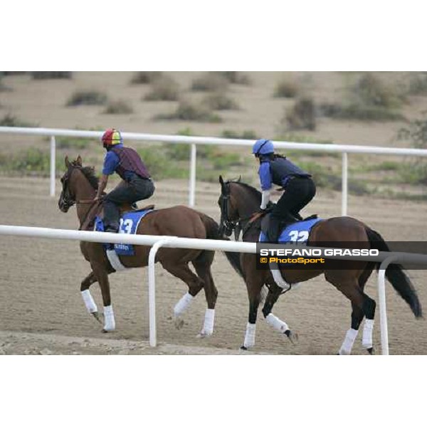 Frankie Dettori on Silca\'s Sister exercises at Al Quoz morning works, followed by Abhiskeha Al Quoz - Dubai 22nd march 2006 ph. Stefano Grasso