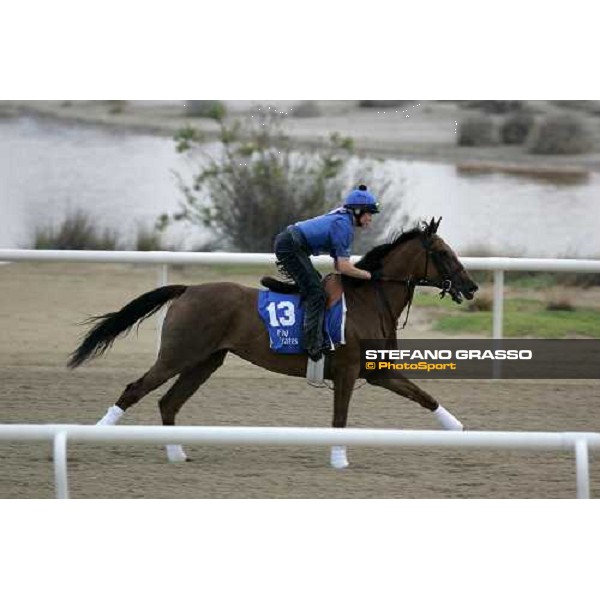 Guadalajara exercises at Al Quoz morning works Al Quoz - Dubai 22nd march 2006 ph. Stefano Grasso