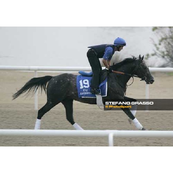 Pinson exercises at Al Quoz morning works Al Quoz - Dubai 22nd march 2006 ph. Stefano Grasso