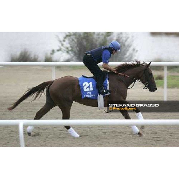 Astronomia exercises at Al Quoz morning works Al Quoz - Dubai 22nd march 2006 ph. Stefano Grasso