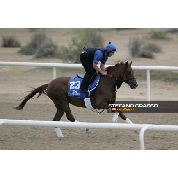 Reunite exercises at Al Quoz morning works Al Quoz - Dubai 22nd march 2006 ph. Stefano Grasso