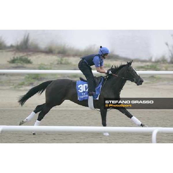 Deveron exercises at Al Quoz morning works Al Quoz - Dubai 22nd march 2006 ph. Stefano Grasso