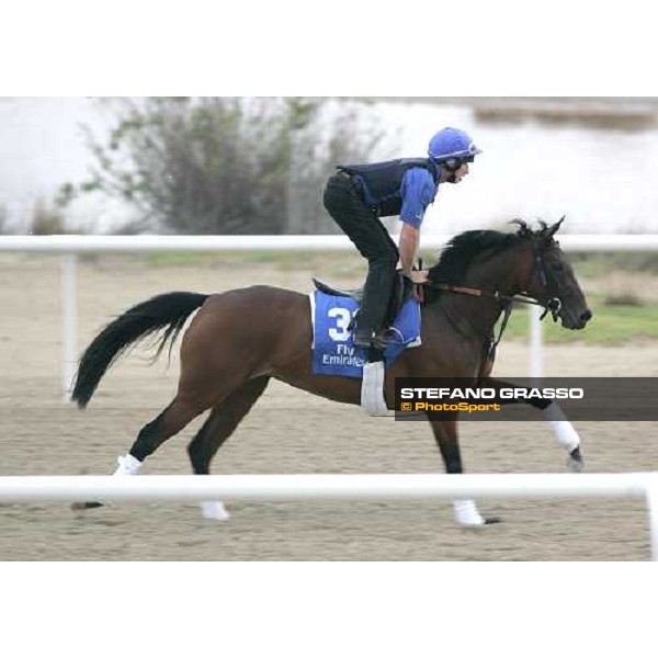 Gombarda exercises at Al Quoz morning works Al Quoz - Dubai 22nd march 2006 ph. Stefano Grasso