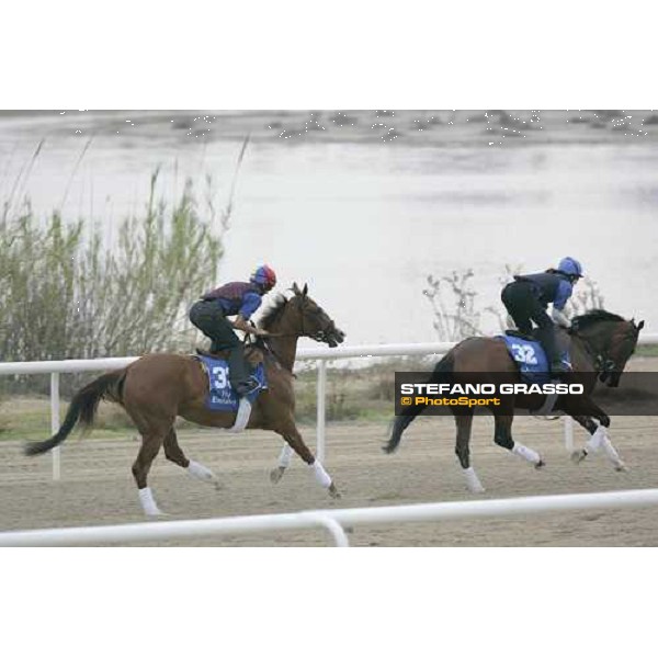 Frankie Dettori exercises Silcas\'s Sister at Al Quoz morning works., with Abhisheka inside Al Quoz - Dubai 22nd march 2006 ph. Stefano Grasso