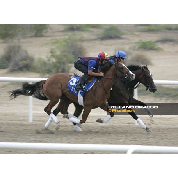 Frankie Dettori exercises Silcas\'s Sister at Al Quoz morning works., with Abhisheka inside Al Quoz - Dubai 22nd march 2006 ph. Stefano Grasso