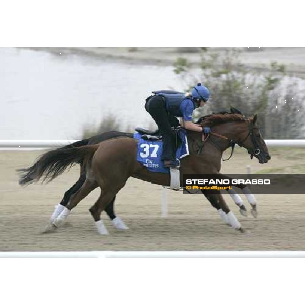 Antique exercises at Al Quoz morning works Al Quoz - Dubai 22nd march 2006 ph. Stefano Grasso