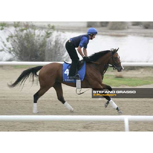 Discreet Cat exercises at Al Quoz morning works Al Quoz - Dubai 22nd march 2006 ph. Stefano Grasso