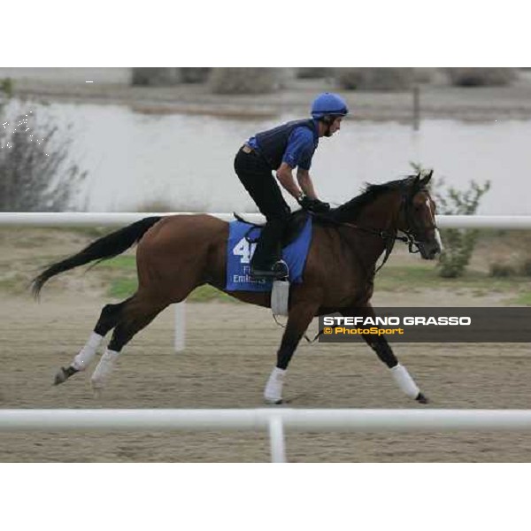 Discreet Cat exercises at Al Quoz morning works Al Quoz - Dubai 22nd march 2006 ph. Stefano Grasso