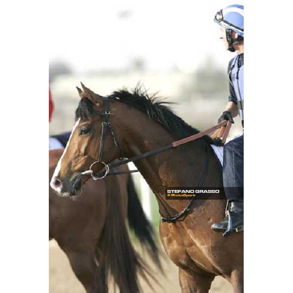 close up Richard Hills on Maraahel at Nad El Sheba racetrack Dubai, 23rd march 2006 ph. Stefano Grasso