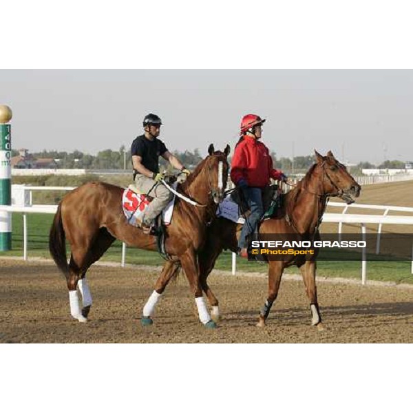 morning exercises for Thor\'s Echo at Nad El Sheba racetrack Dubai, 23rd march 2006 ph. Stefano Grasso