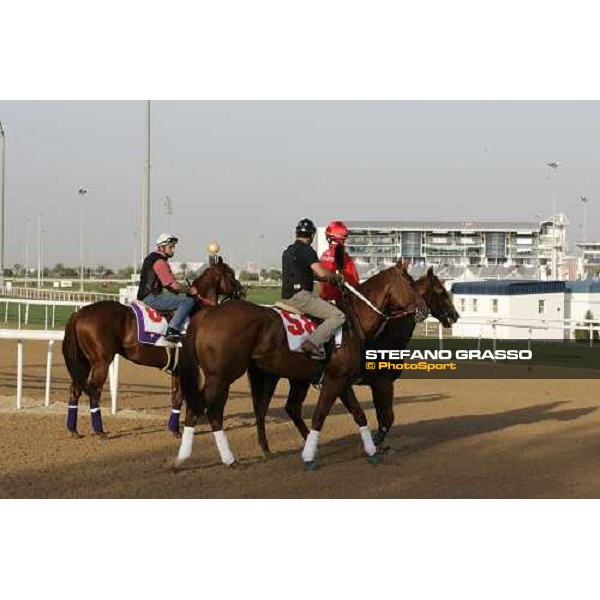 morning exercises for Super Frolic (6) and Thor\'s Echo at Nad El Sheba racetrack Dubai, 23rd march 2006 ph. Stefano Grasso