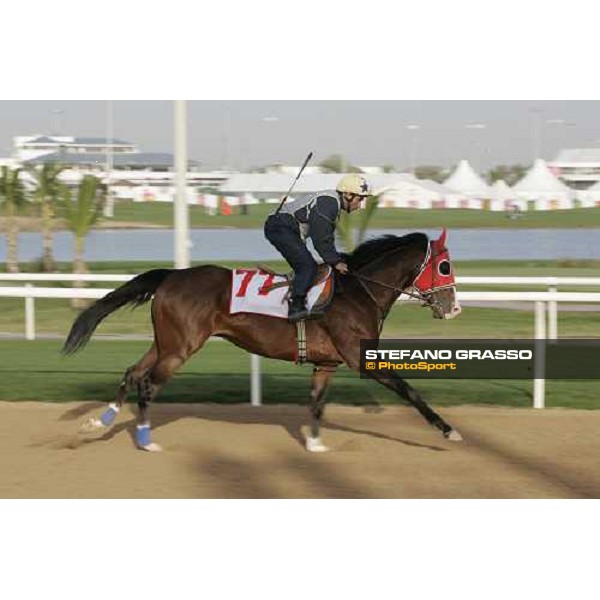 morning exercises for Win River Win at Nad El Sheba racetrack Dubai, 23rd march 2006 ph. Stefano Grasso