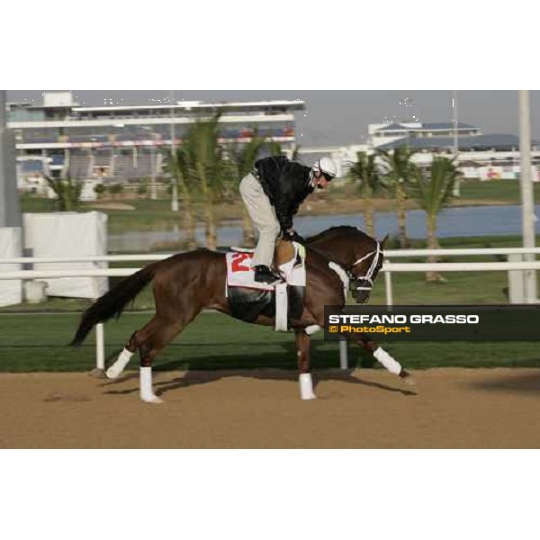 morning exercises for Irridescence at Nad El Sheba racetrack Dubai, 23rd march 2006 ph. Stefano Grasso