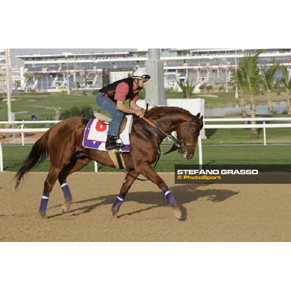 morning exercises for Super Frolic at Nad El Sheba racetrack Dubai, 23rd march 2006 ph. Stefano Grasso