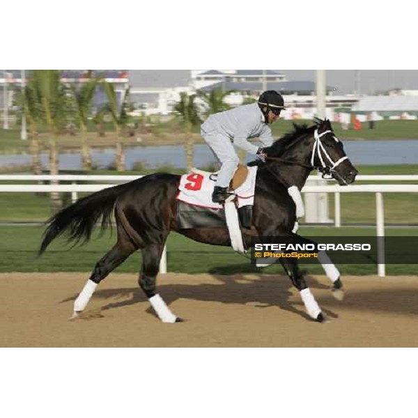 morning exercises for Magna Graduate at Nad El Sheba racetrack Dubai, 23rd march 2006 ph. Stefano Grasso