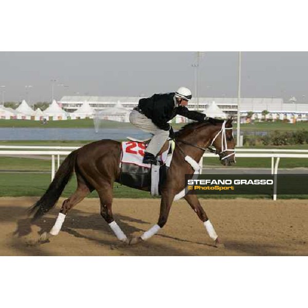 morning exercises for Host at Nad El Sheba racetrack Dubai, 23rd march 2006 ph. Stefano Grasso