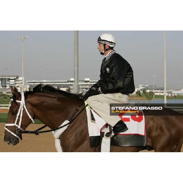 morning exercises for Host at Nad El Sheba racetrack Dubai, 23rd march 2006 ph. Stefano Grasso