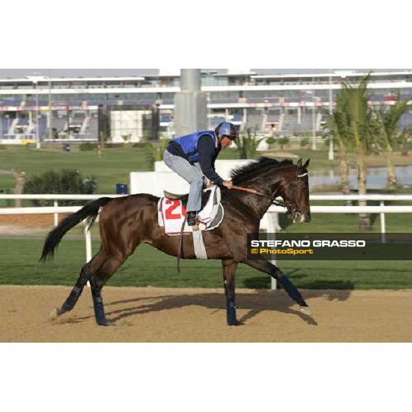 morning exercises for Touch of Land at Nad El Sheba racetrack Dubai, 23rd march 2006 ph. Stefano Grasso