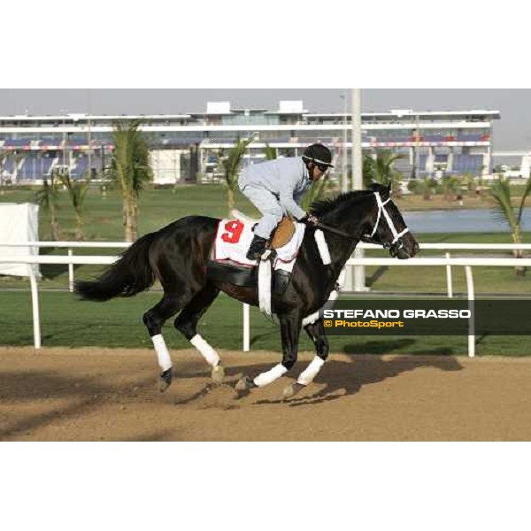 morning exercises for Magna Graduate at Nad El Sheba racetrack Dubai, 23rd march 2006 ph. Stefano Grasso