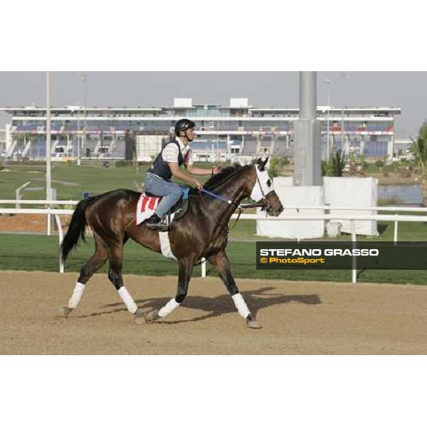 morning exercises for Brass Hat at Nad El Sheba racetrack Dubai, 23rd march 2006 ph. Stefano Grasso