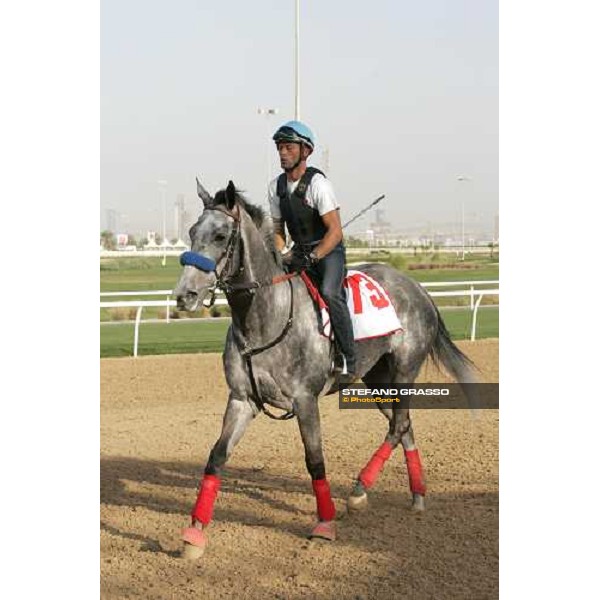 morning exercises for Island Fashion at Nad El Sheba racetrack Dubai, 23rd march 2006 ph. Stefano Grasso