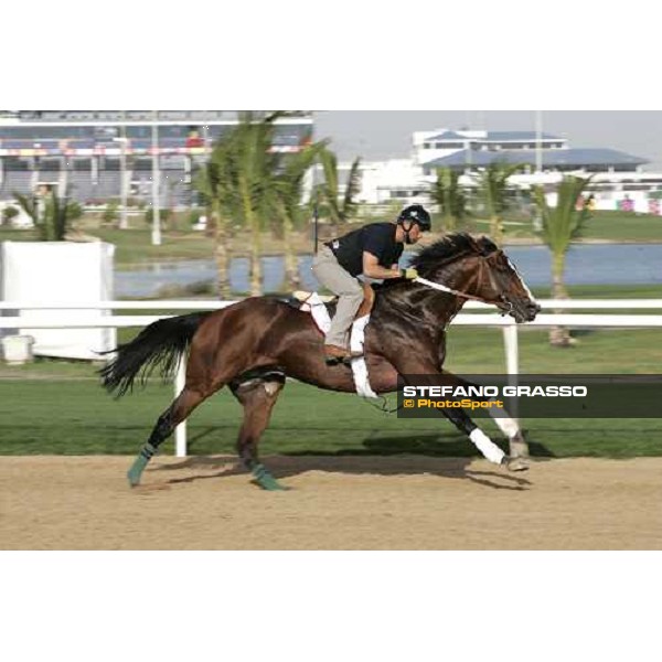 morning exercises for Whilly at Nad El Sheba racetrack Dubai, 23rd march 2006 ph. Stefano Grasso