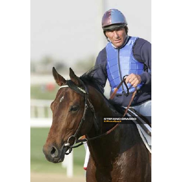 morning exercises for Touch of Land at Nad El Sheba racetrack Dubai, 23rd march 2006 ph. Stefano Grasso