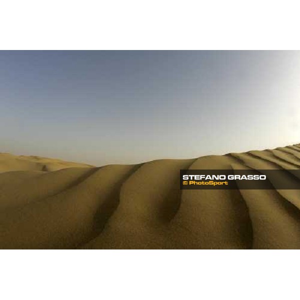 Al Ain desert Al Ain, 23th march 2006 ph. Stefano Grasso