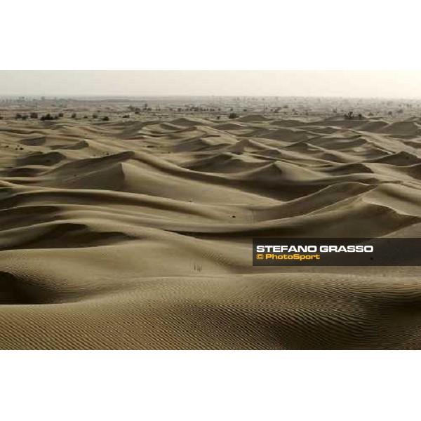 Al Ain desert Al Ain, 23th march 2006 ph. Stefano Grasso