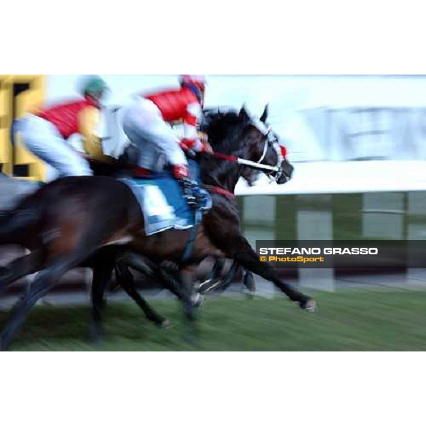 Dubai Sheema Classic Nad El Sheba, 27th march 2004 ph. Stefano Grasso