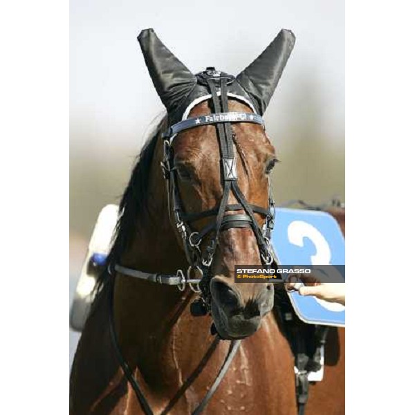 close up for Fairbank Gi Torino, 2th april 2006 ph. Stefano Grasso