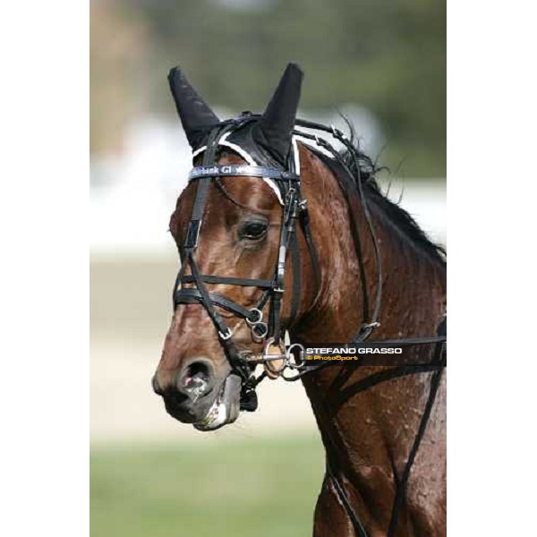 close up for Fairbank Gi Torino, 2th april 2006 ph. Stefano Grasso