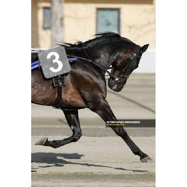 close up for Ech˜ dei Veltri during warm up of Gran Premio Costa Azzurra Torino, 2th april 2006 ph. Stefano Grasso