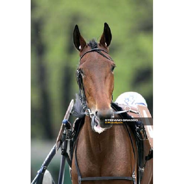 close up for Giulia Grif Bologna, 9th april 2006 ph. Stefano Grasso