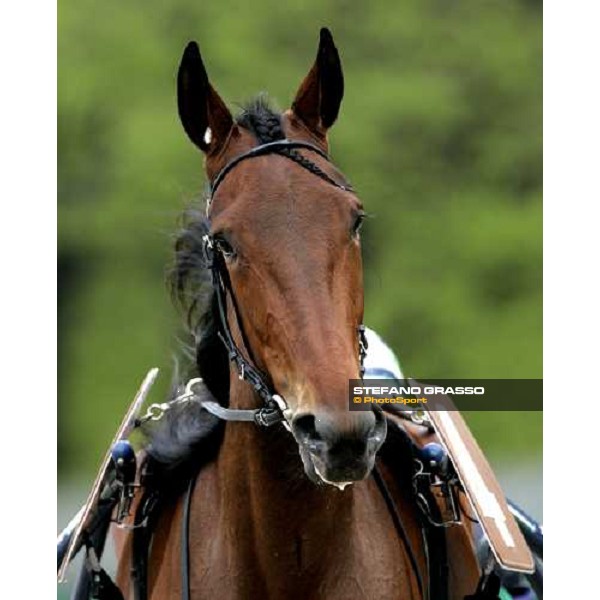 close up for Giulia Grif Bologna, 9th april 2006 ph. Stefano Grasso