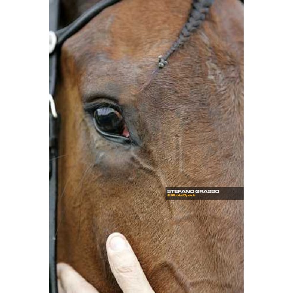 close up for Giulia Grif, winner of Gran Premio Italia Bologna, 9th april 2006 ph. Stefano Grasso