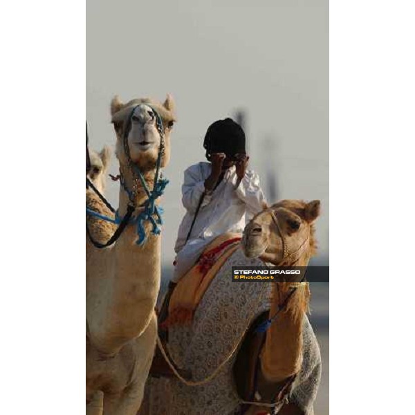 Young child hides his face to the photographer during camels\' training Dubai 28th march 2004 ph. Stefano Grasso