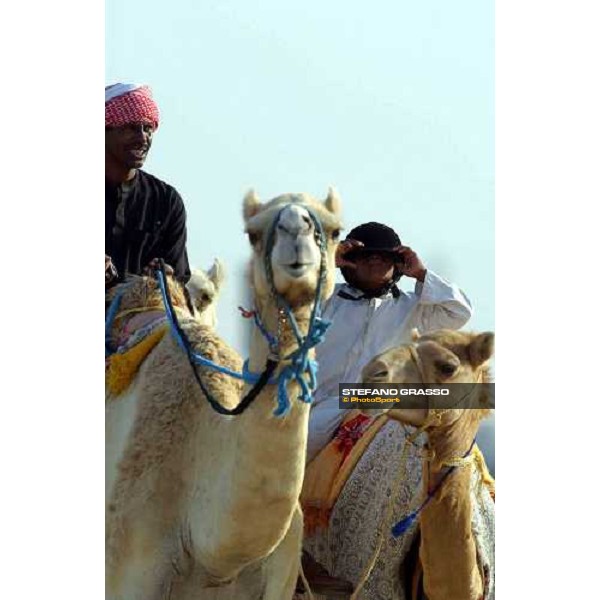Young child hides his face to the photographer during camels\' training Dubai 28th march 2004 ph. Stefano Grasso