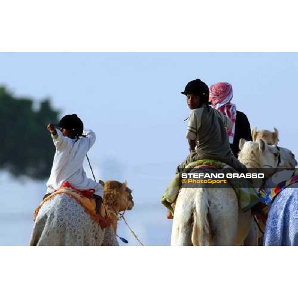 camels\' training Dubai 28th march 2004 ph. Stefano Grasso