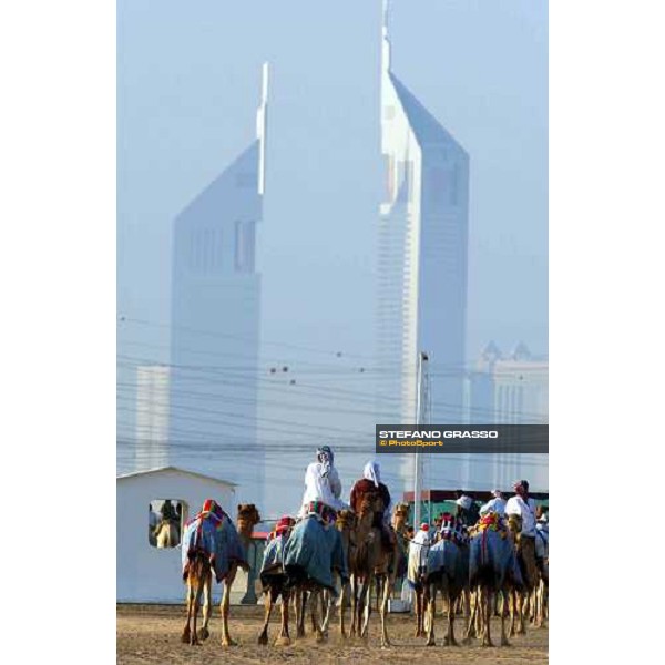 camels\' training Dubai 28th march 2004 ph. Stefano Grasso
