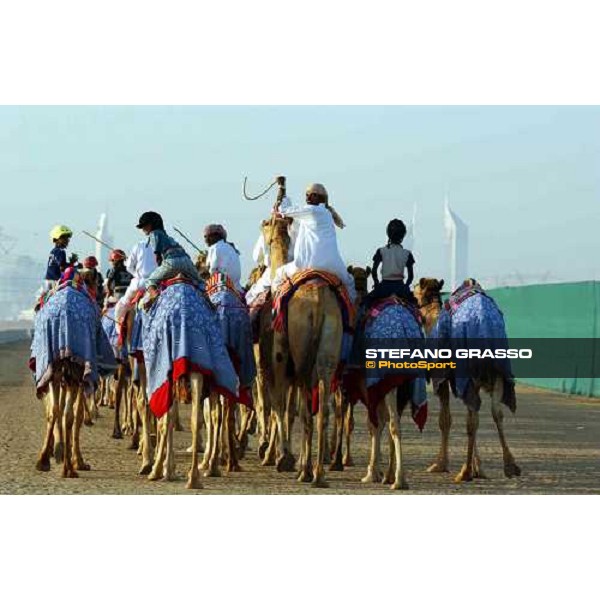 camels\' training Dubai 28th march 2004 ph. Stefano Grasso